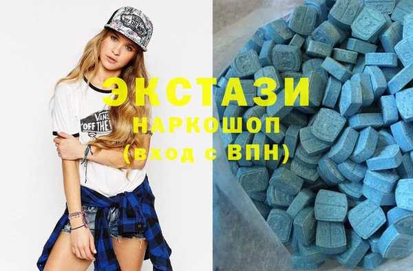 гашик Новодвинск