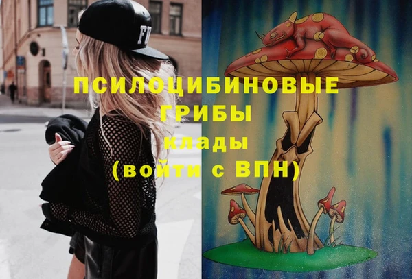 крисы Нягань