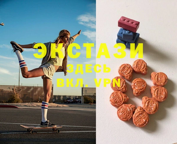стаф Ельня