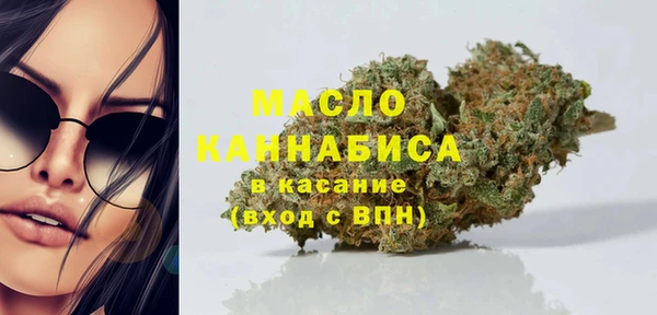 гашик Новодвинск