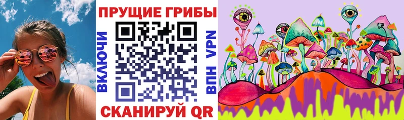 Псилоцибиновые грибы GOLDEN TEACHER  Грязи 