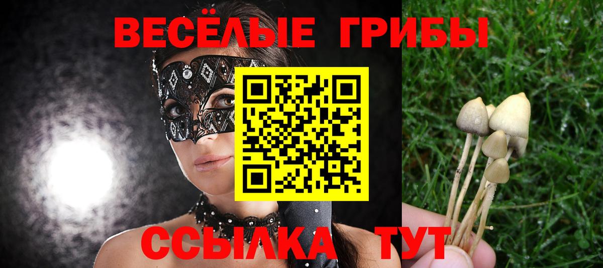 Галлюциногенные грибы прущие грибы Грязи