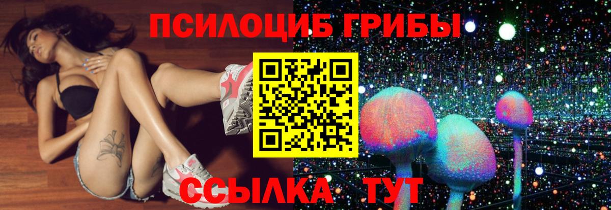 Галлюциногенные грибы прущие грибы  Вход с VPN  Грязи 
