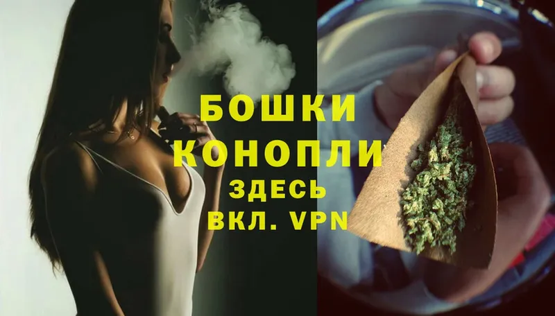 Конопля OG Kush  как найти   Грязи 